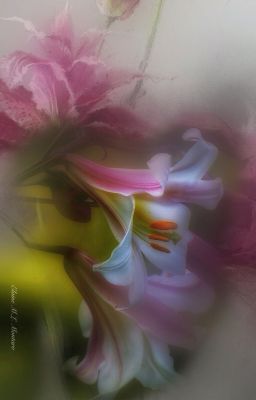 [HSK] R18 -  Ngoại tình