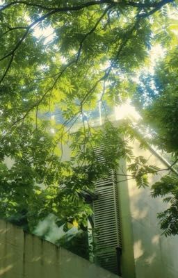 [Huấn Văn/BL] Dưới Ánh Nhìn Anh 