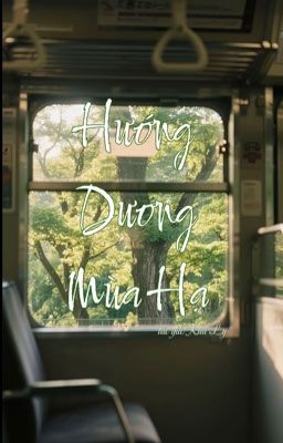 Hướng dương mùa hạ