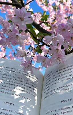 Hương Vị Của Mùa Xuân