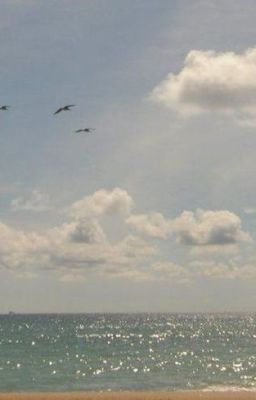 [huyhoang] [you are all honey and none of the sting]