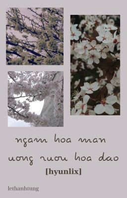 [hyunlix] ngắm hoa mận, uống rượu hoa đào.