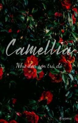 [IcyGill] Camellia - Như Đoá Sơn Trà Đỏ 