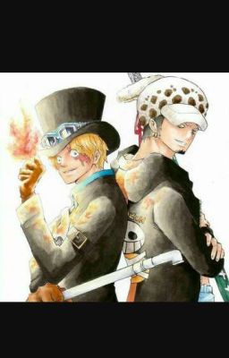 Interconnection {Law X Reader X Sabo} AU 