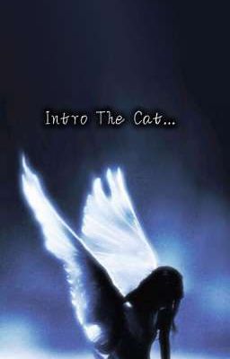 InTro The Cat 