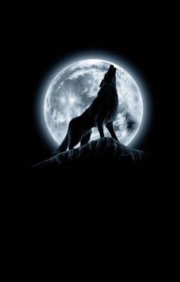 [JD] WOLF & MOON