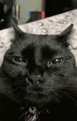 (JiminJeong) Giáo trình dỗ bồ của giảng viên Yu