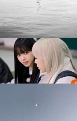[Jiminjeong] Học hè