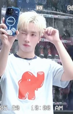 JN - SƠN TỒII!