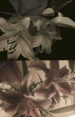 KaineStuart - Tự Sự