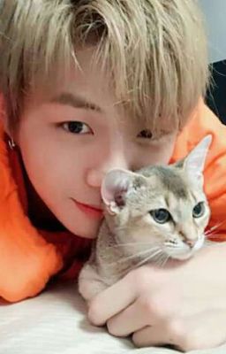 KANG DANIEL [ IMAGINE ] Thanh xuân của anh có thể chứa thêm em???