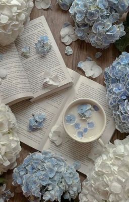 [KaraHio] [Việt Nam AU] - 𝑪𝒂̂̉𝒎 𝑻𝒖́ 𝑪𝒂̂̀𝒖