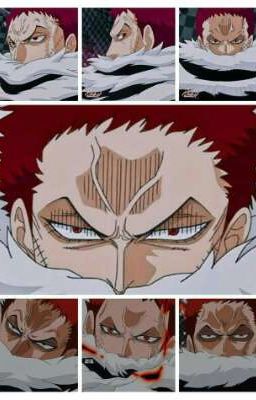 [Katakuri×reader] Quý Ngài Tư Lệnh Độc Sủng Ta