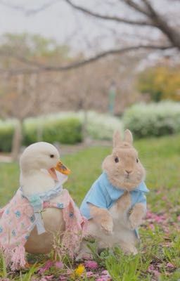 [KengNamping] - Giữ Lại Chiếc Ô