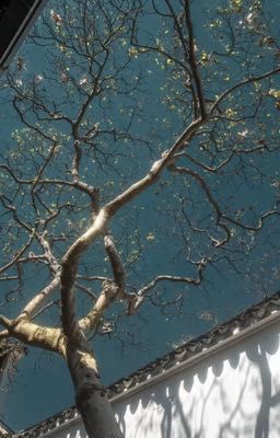 KeonHyeon | Lọ lem thời nay