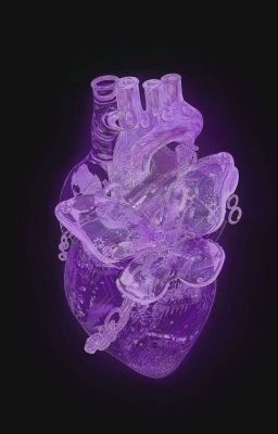 【Kha Bạch Vũ Trụ 】 Dễ dụ 