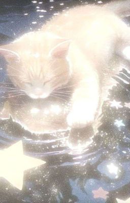 Khang Thức Mộng Sơn★Khang x Sơn| Nhặt Nhầm Mèo Lười.