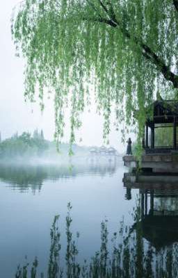 Khi Giấc Mơ Tan Vỡ