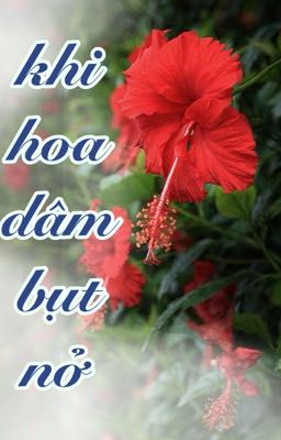 Khi hoa dâm bụt nở