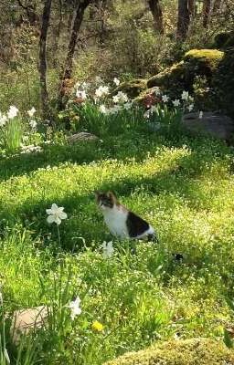 Khi Tôi Quên Làm Người