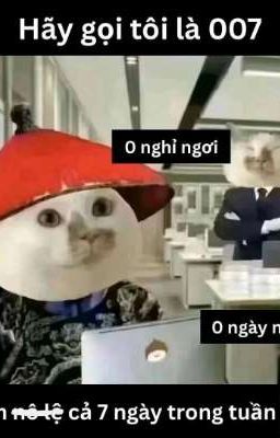 Kho tàng pon4 ĐSHNTTNCH