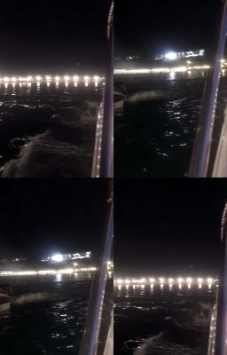 Không Có Chuyến Tàu Quay Lại. 