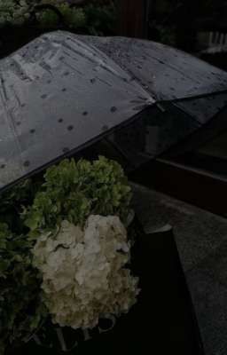 Không còn là người anh yêu (Guria)