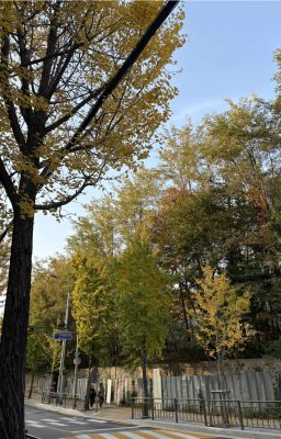 Không Theo Nhiệm Vụ - Minh Châu