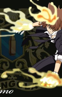 (KHR) (all27) Vongola Decimo_Sawada Tsunayoshi