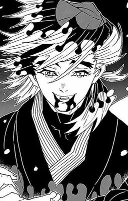 [kimetsu no yaiba x reader] thư gửi người trong gió