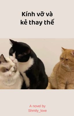 Kính vỡ và kẻ thay thế