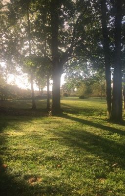 KisaKijay | love or friend?