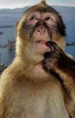 [KNY] Chuyện Thật Như Đùa