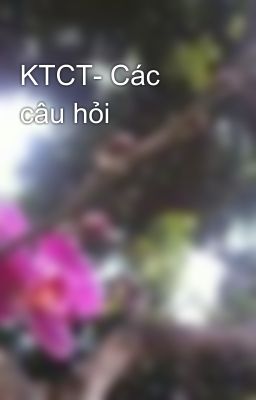 KTCT- Các câu hỏi