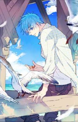 (Kuroko No Basketball/KNB)(All/Kuroko Trung Tâm)Nash X Kuroko; Ám Ảnh.