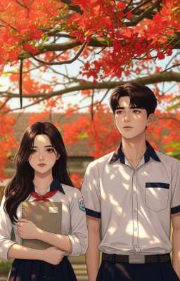 Ký Ức Dưới Cánh Hoa Phượng