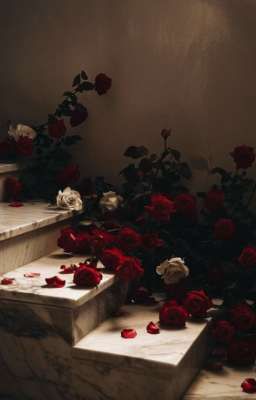 Là anh nợ tôi [SơnBình/ABO]