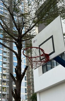 Lá thư của mùa hạ