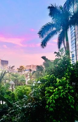 Lá thư hồi đáp của ánh dương