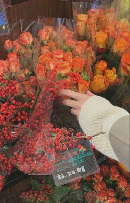 La Vita in Fiore