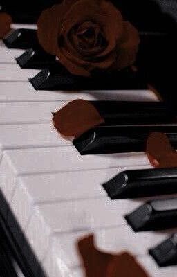 Lâm Uyên x Cố Dương