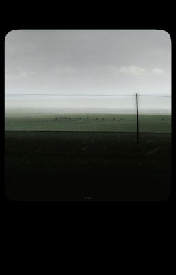 lck/lpl/valorant x chovy | táng vật giá hai mươi tệ