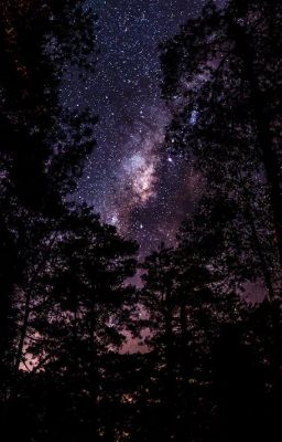 [LCK] NẾU NHƯ CÓ NGÀY MAI