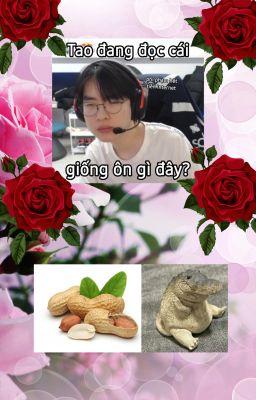 lck . nơi máy đẻ plot đẻ plot