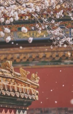 Lệ Hoa Vấn Thiên Chỉ [LyQuinn]