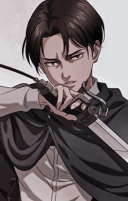 [Levi x reader] Đây là.....yêu sao?