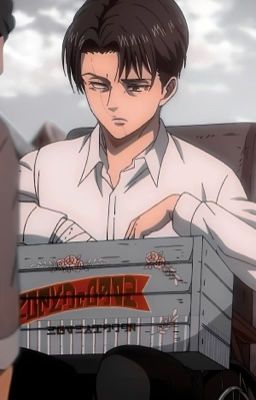 [Levi x Reader] Nơi Bình Yên Trong Anh