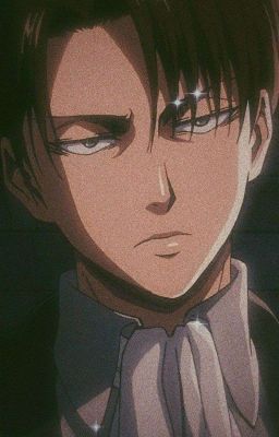 Levi x Reader Oneshots 