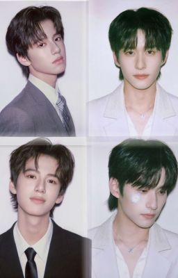 Liar (từ chấn hiên x lâm tử diệp)