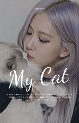 LiChaeng - My Cat